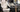 A Step Above Your Average Office Chair dowinx-gaming-chair.EU