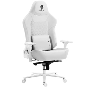 Dowinx Plus Series LS-66D1A White – 200kg Load Capacity Dowinx