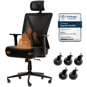 Dowinx Ergonomic Office Chair QL-66W4A Black Dowinx
