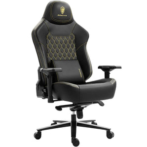 Dowinx Plus Series LS-66D1A Black – 200kg Load Capacity Dowinx